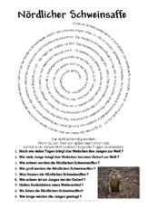 Nördlicher Schweinsaffe.pdf